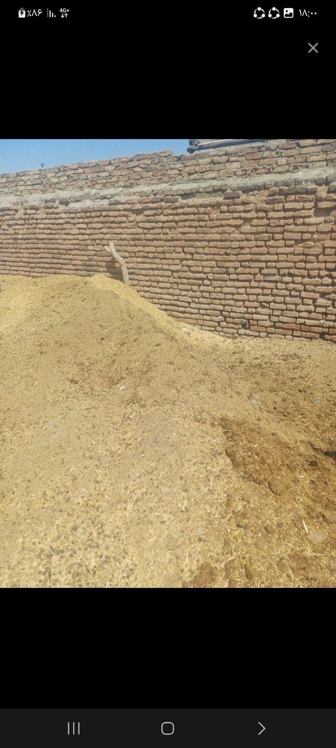 کود تحویل سر زمین|خدمات باغبانی و درختکاری|بوشهر, |دیوار