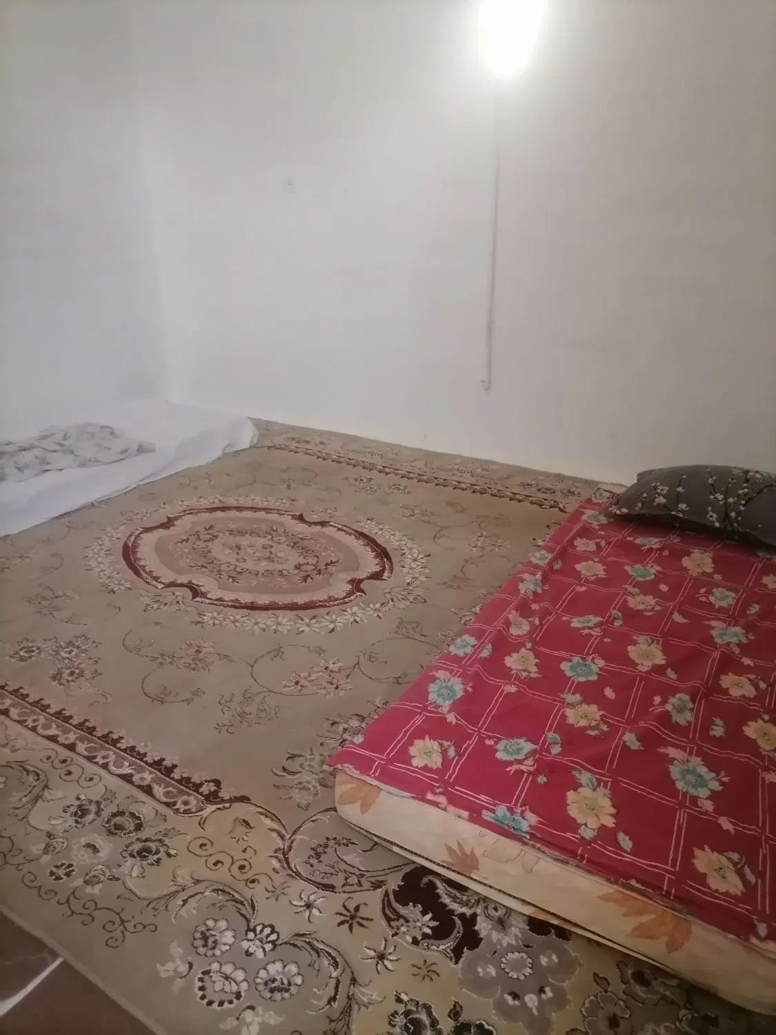 اجاره کوتاه مدت|اجارهٔ کوتاه‌مدت آپارتمان و سوئیت|مشهد, شیرودی|دیوار