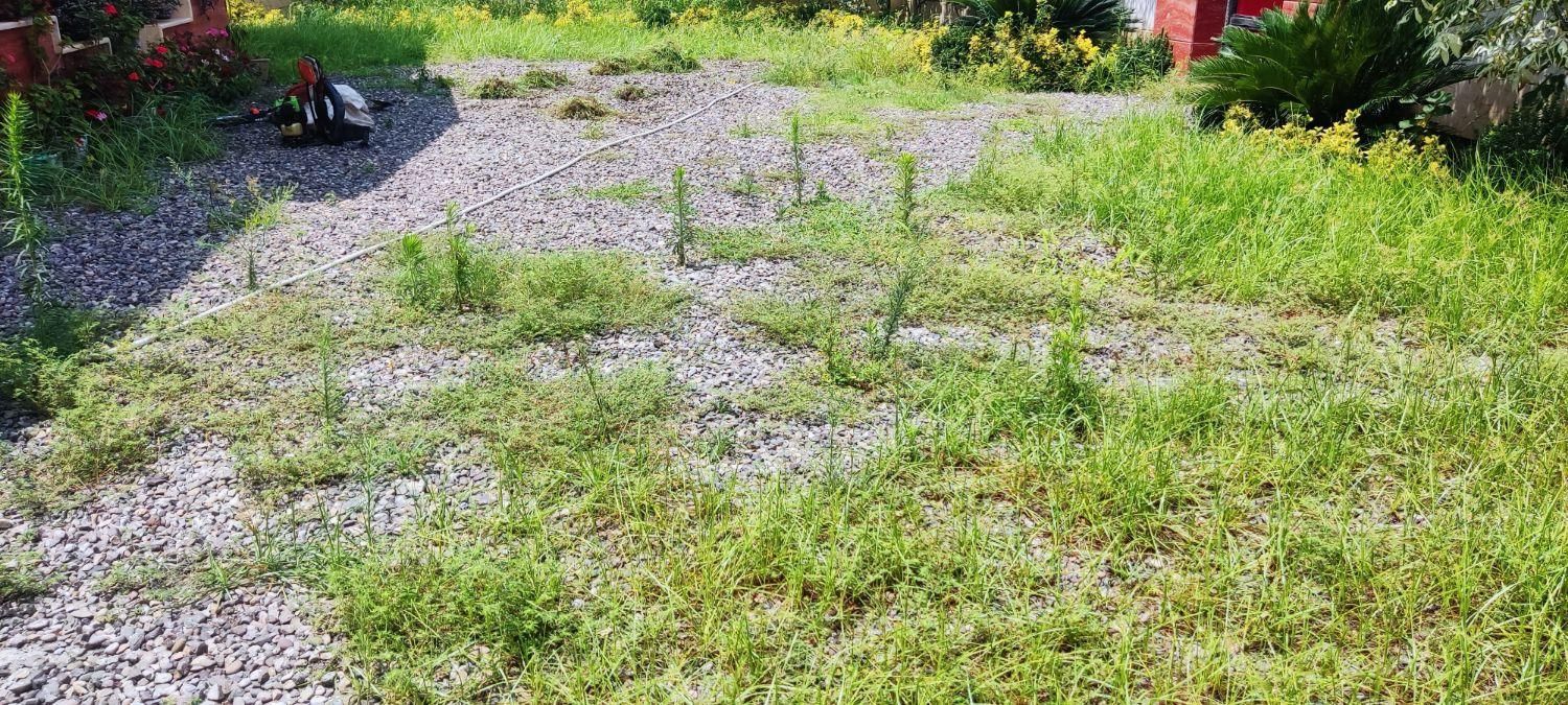 باغبانی علف زنی سمپاشی کود شخم کاشت نهال چاله کنی|خدمات باغبانی و درختکاری|رودسر, |دیوار