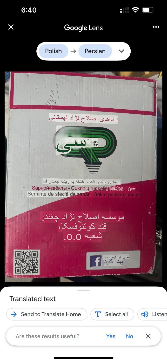 بذر چغندر قند لهستانی|خدمات باغبانی و درختکاری|تهران, تهرانسر شرقی|دیوار
