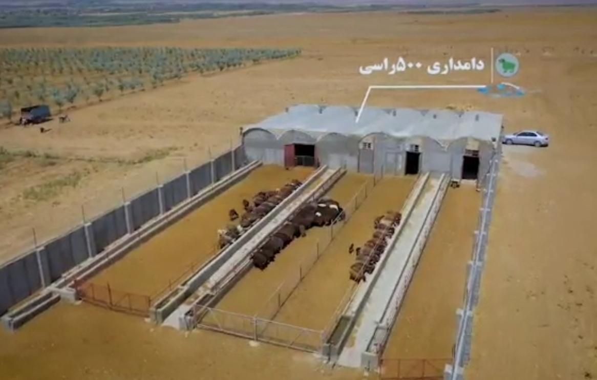 گوسفند فروشی|حیوانات مزرعه|تهران, شهرک غرب|دیوار