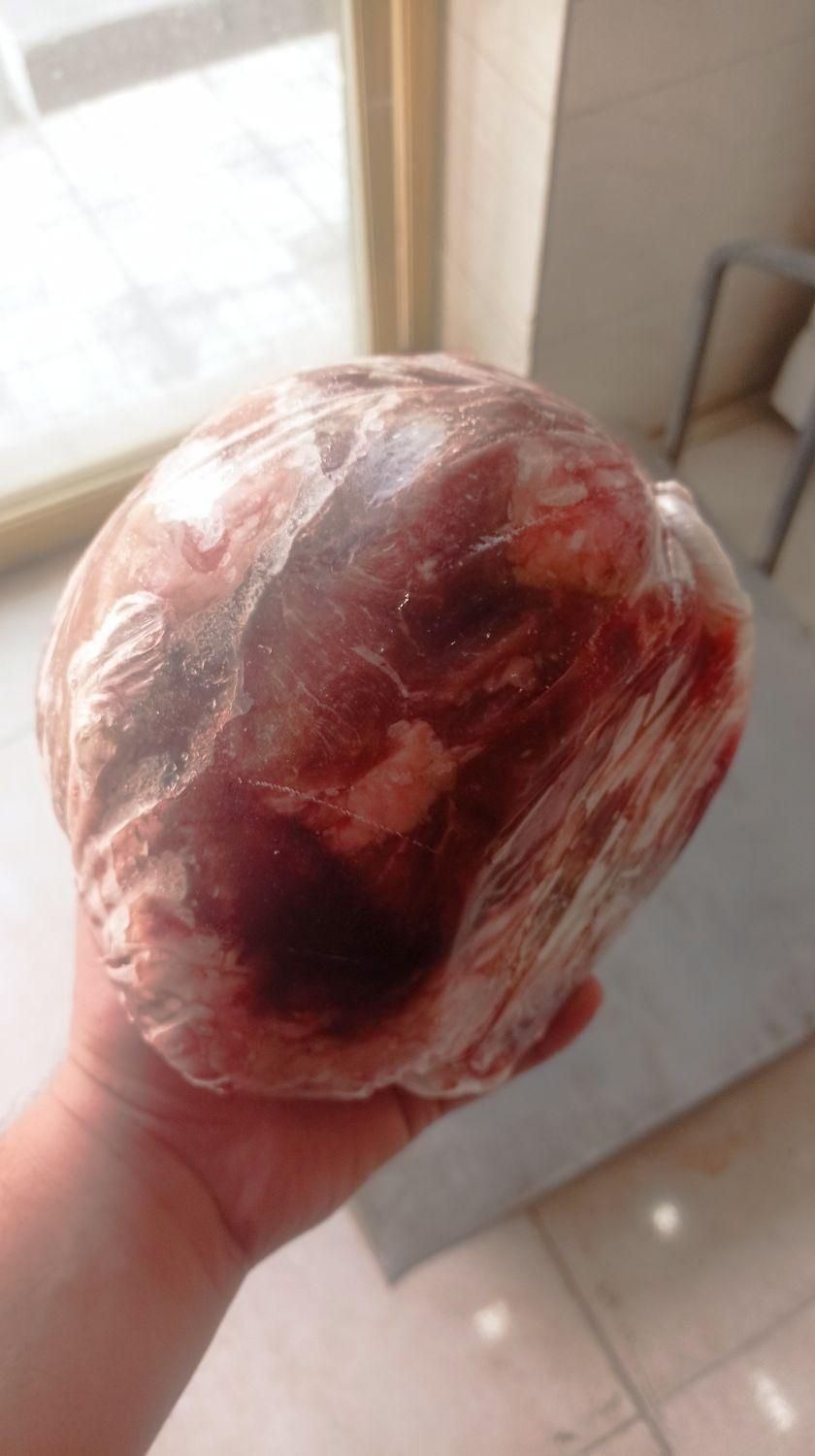 فروش عمده گوشت گوساله منجمد برزیلی|خوردنی و آشامیدنی|قم, شهرک خودرو|دیوار