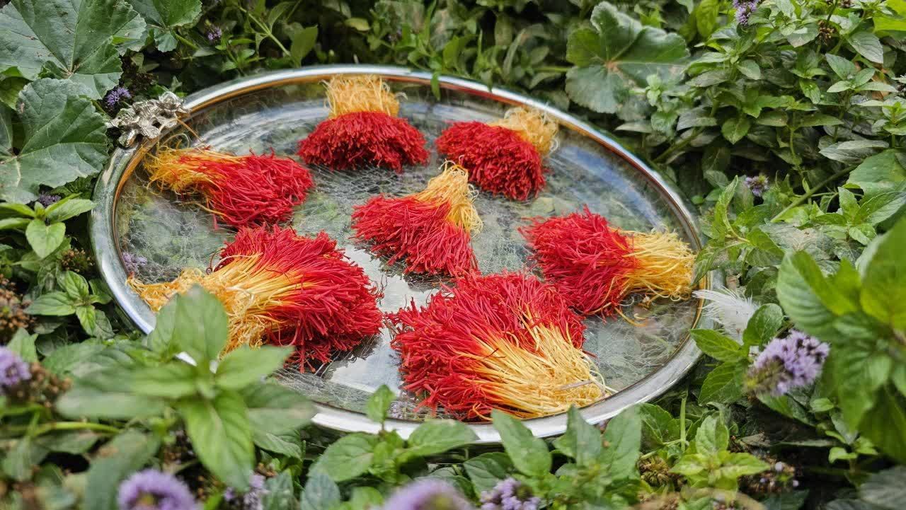 فروشگاه تخصصی زعفران اصل قاینات|خوردنی و آشامیدنی|مشهد, سجادیه|دیوار