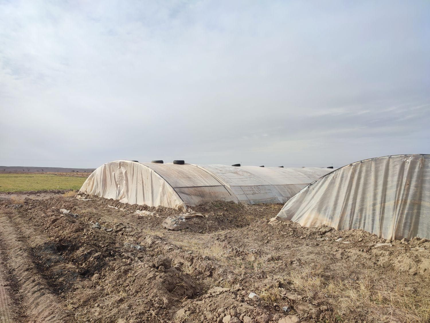 سازه گلخانه|مصالح و تجهیزات ساختمان|تربتحیدریه, شهرک ولیعصر|دیوار