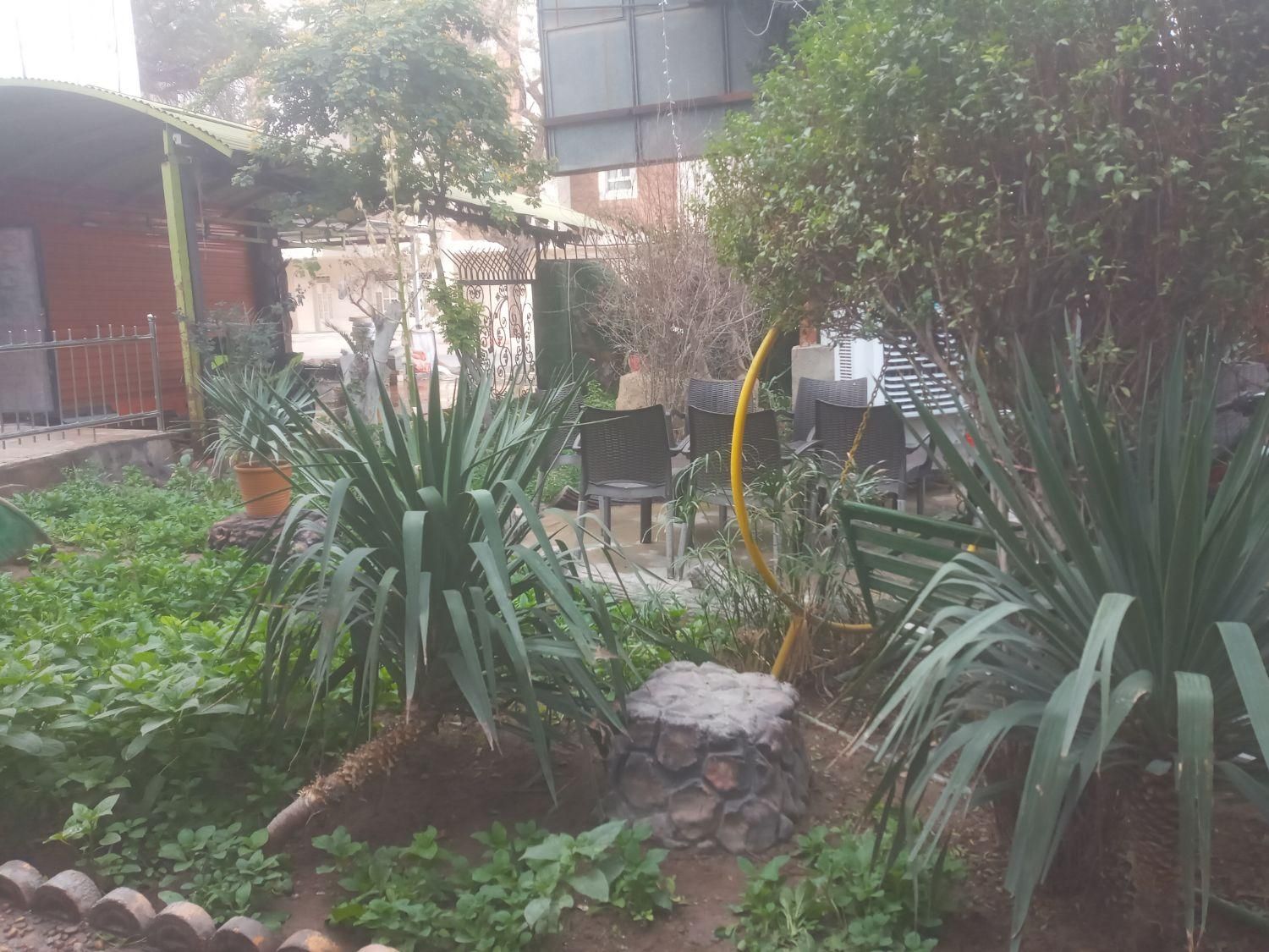 انجام کلیه خدمات باغبانی|خدمات باغبانی و درختکاری|بندر ماهشهر, |دیوار