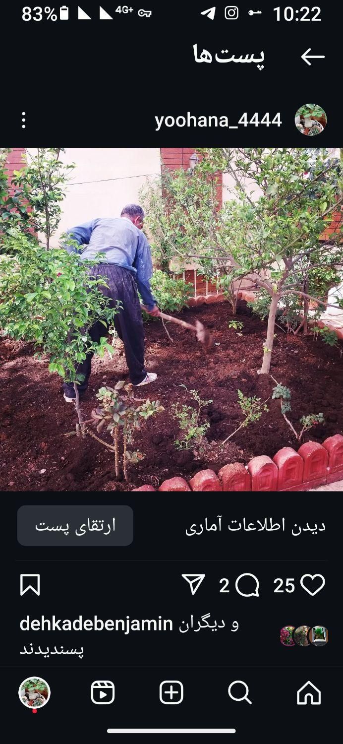 خدمات حضوری رسیدگی به گل گیاهان آپارتمانی|خدمات باغبانی و درختکاری|شیراز, فرگاز|دیوار