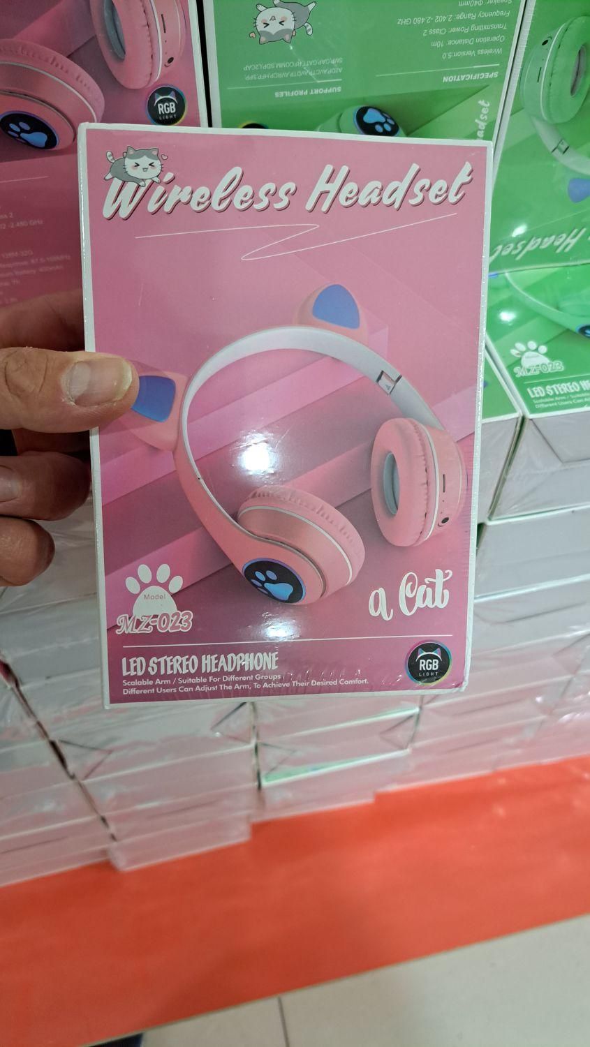 هدفن خرگوشی دخترانه اصلی|پخشکننده همراه|دوگنبدان, |دیوار