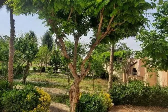زمین سندار آرامگافردوسی گوارشک دیاکو فرماینه اقساط|فروش خانه و ویلا|مشهد, توس فردوسی|دیوار