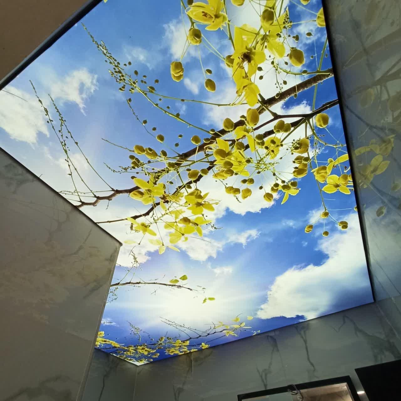 سقف کشسان|خدمات پیشه و مهارت|شهریار, |دیوار