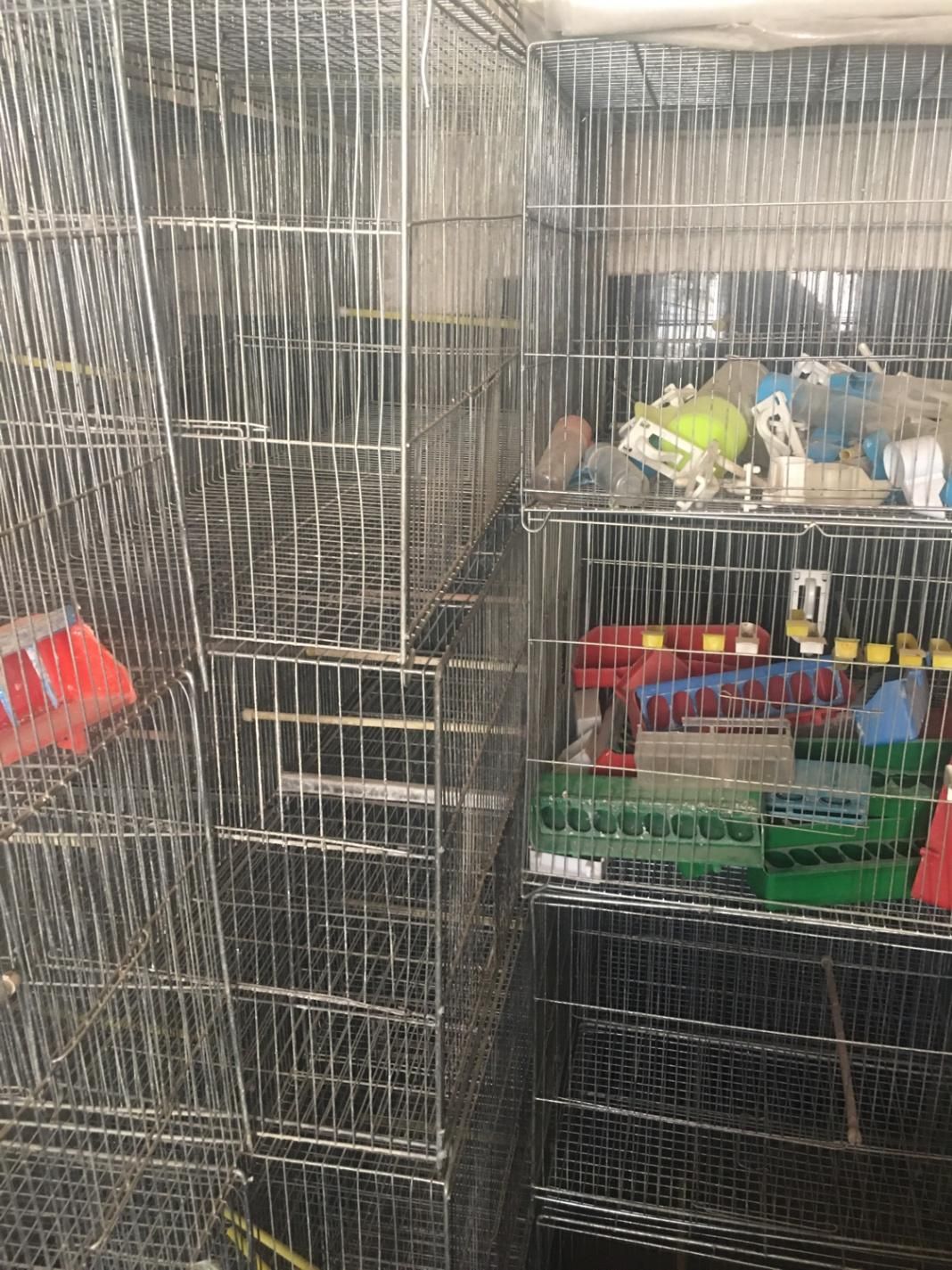 قفس پرنده در حد نو و تمیز با همه امکانا|لوازم جانبی حیوانات|خمینی‌شهر, |دیوار