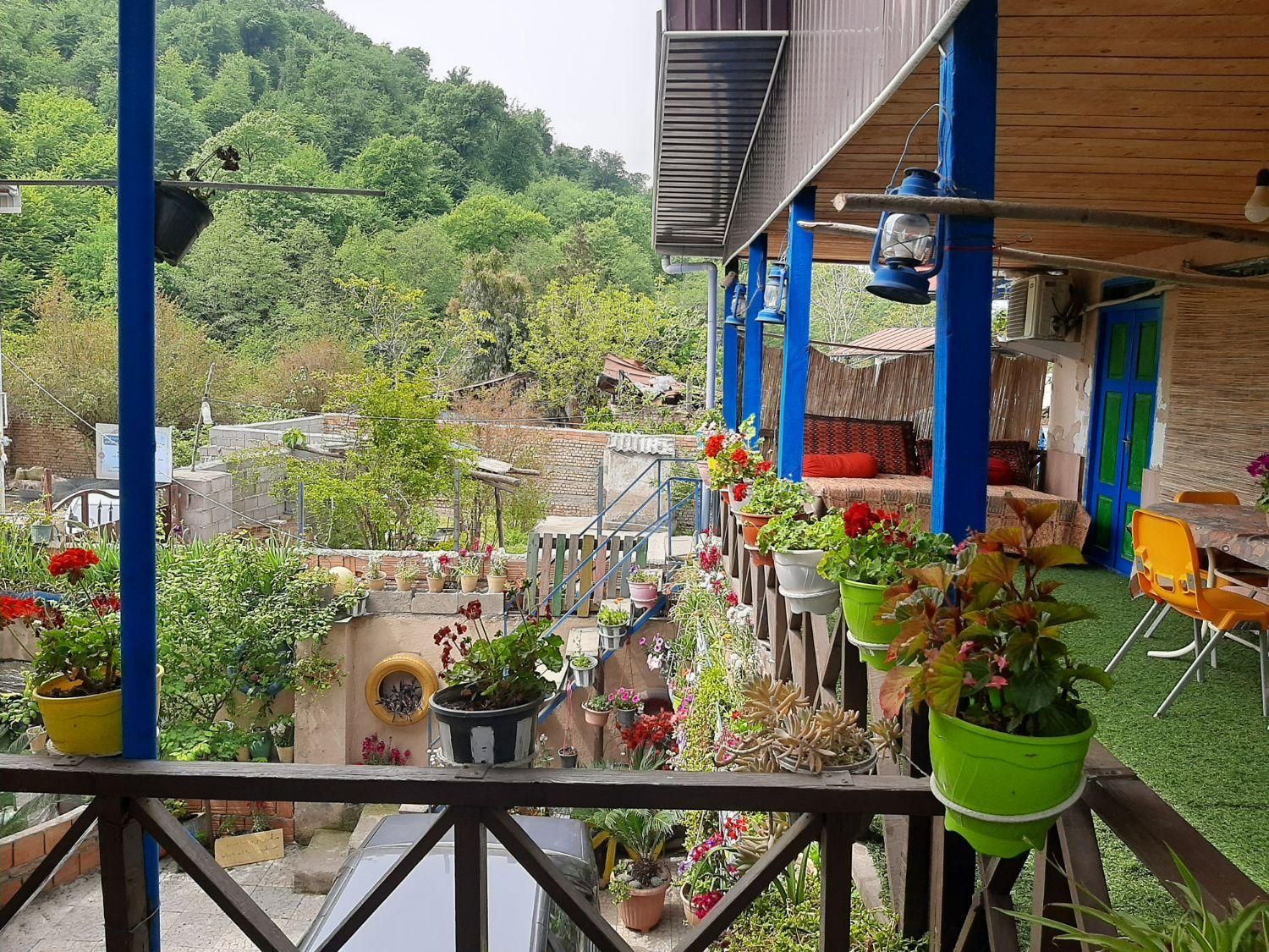 سوییت کلبه جنگلی سنتی|اجارهٔ کوتاه‌مدت ویلا و باغ|علی‌آباد کتول, |دیوار