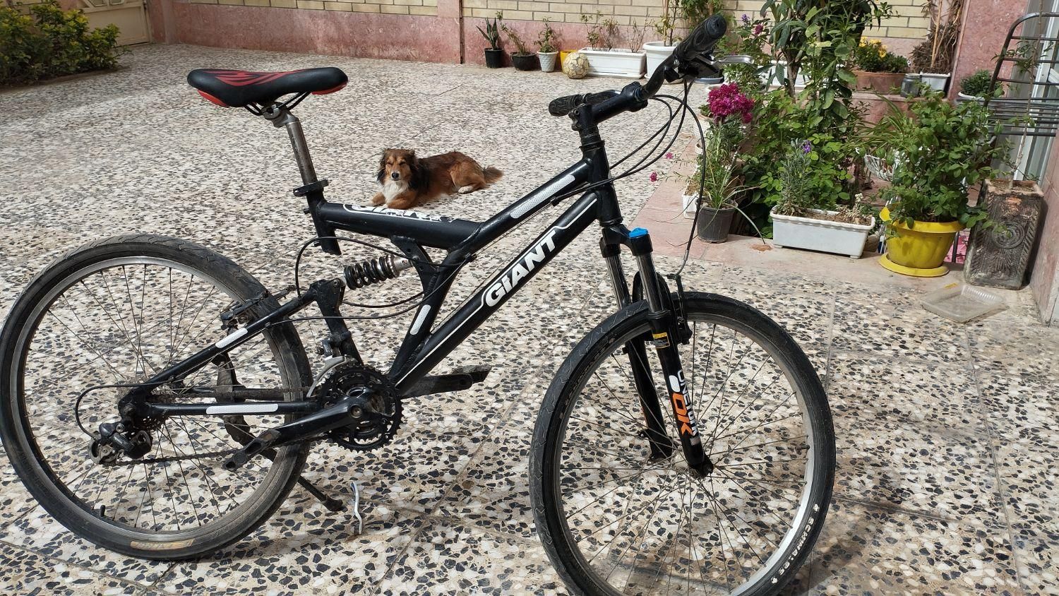 دو چرخه جاینت تایوانی اصلی سایز 26|دوچرخه، اسکیت، اسکوتر|اصفهان, ملکشهر|دیوار