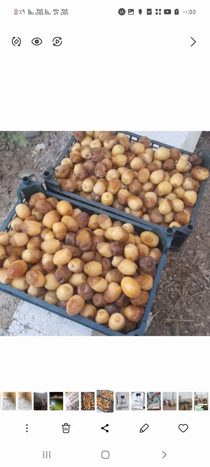 خارک ورطب ابادان|خوردنی و آشامیدنی|اصفهان, نقش جهان|دیوار