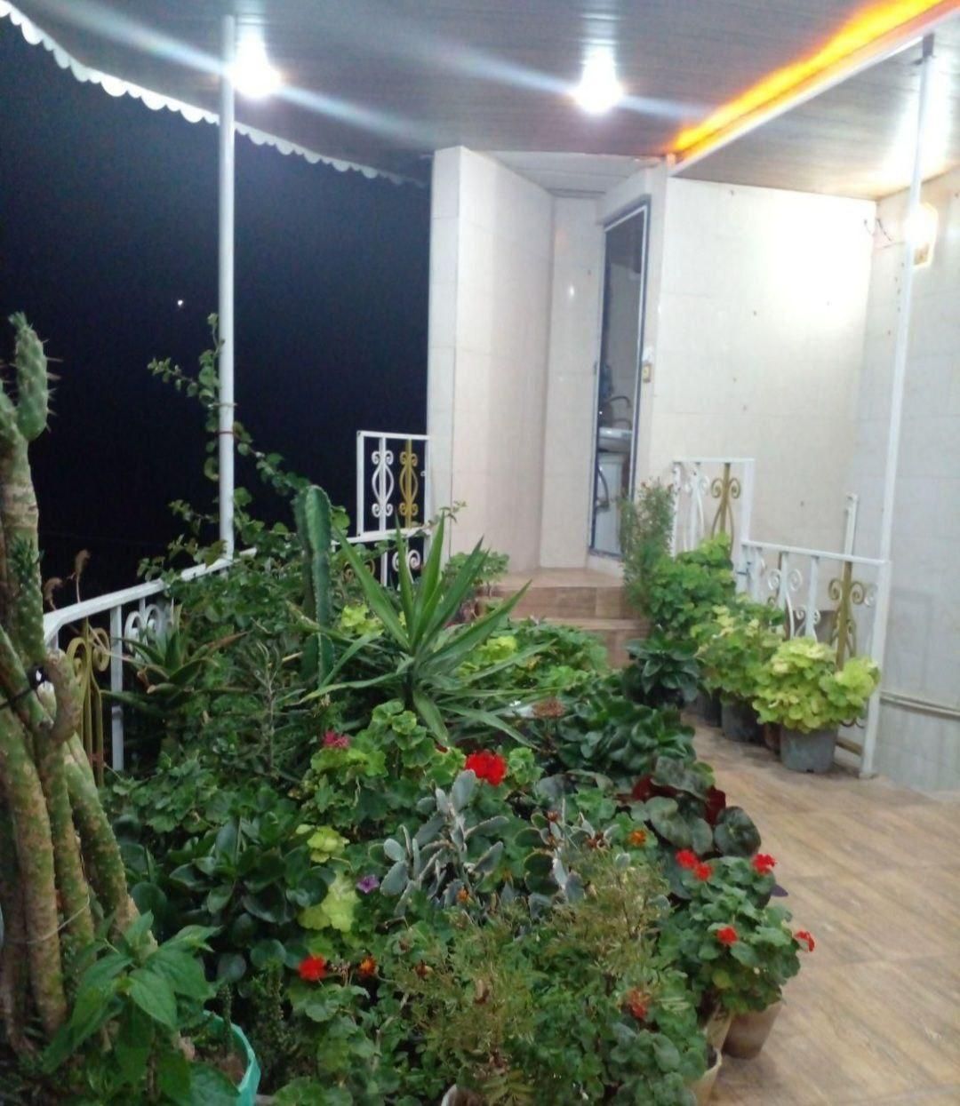 اجاره سوئیت روزانه دربست با تمام امکانات|اجارهٔ کوتاه‌مدت آپارتمان و سوئیت|منجیل, |دیوار