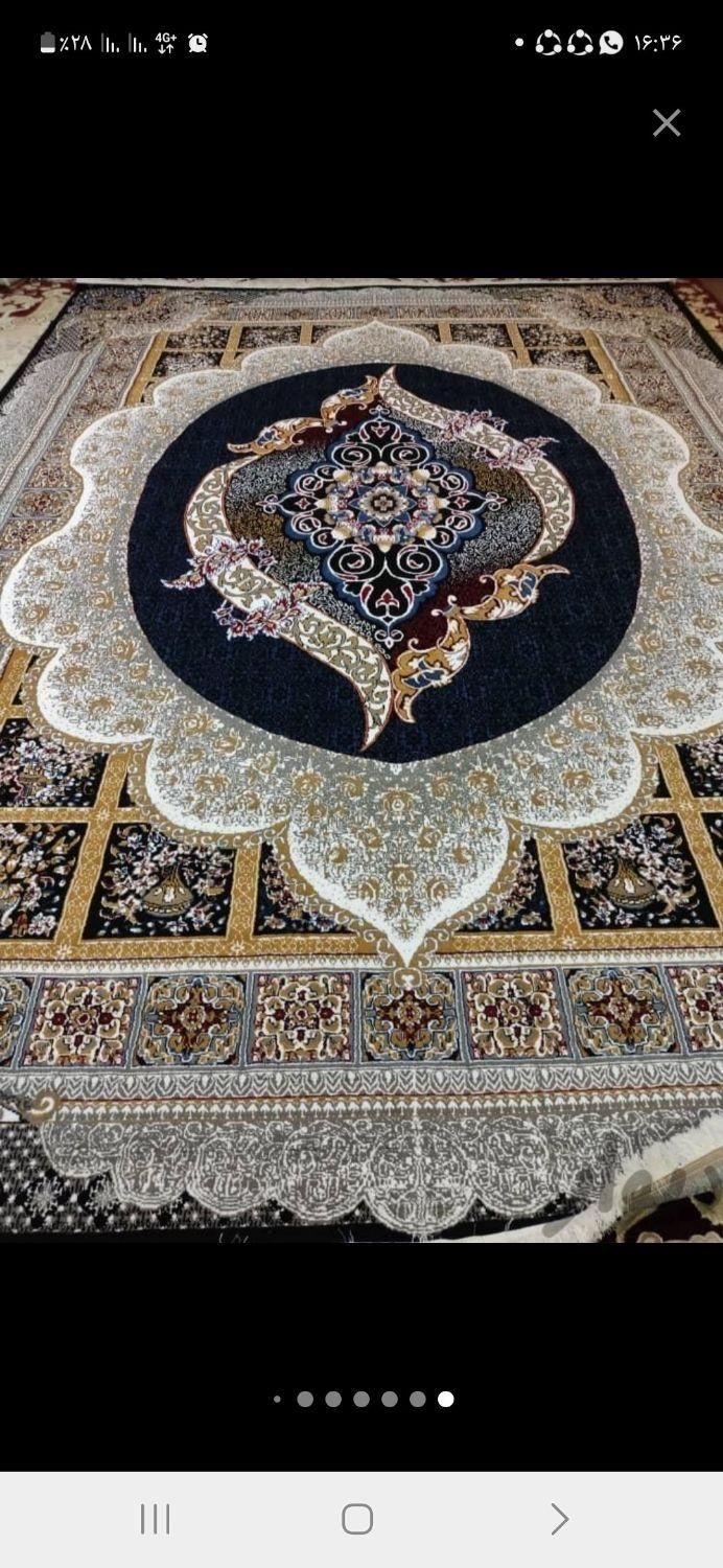 قالی فرش خاطره|فرش|شیراز, میانرود|دیوار