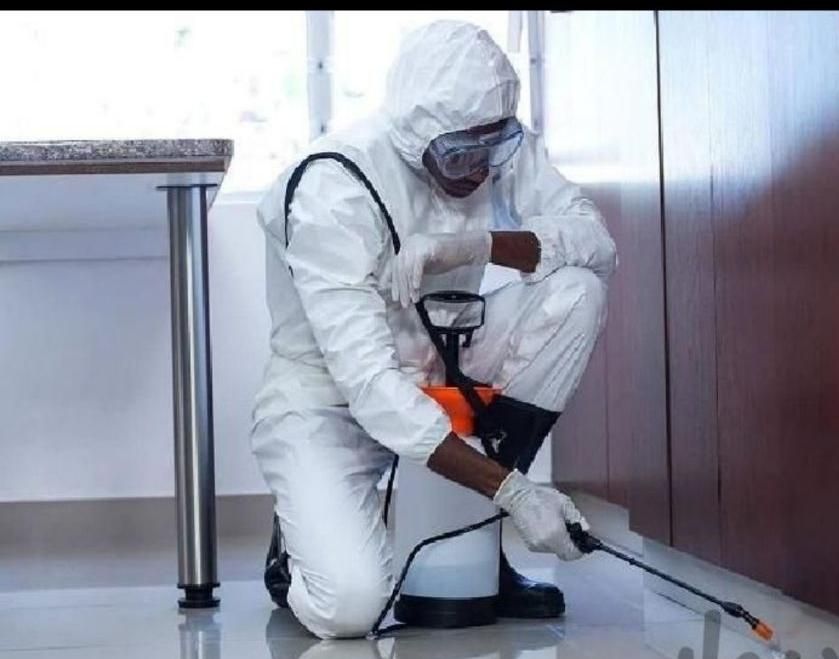 سمپاشی+سم پاش+موریانه ساس سوسک مورچه ۱۲سال ضمانت|خدمات نظافت|آبادان, |دیوار