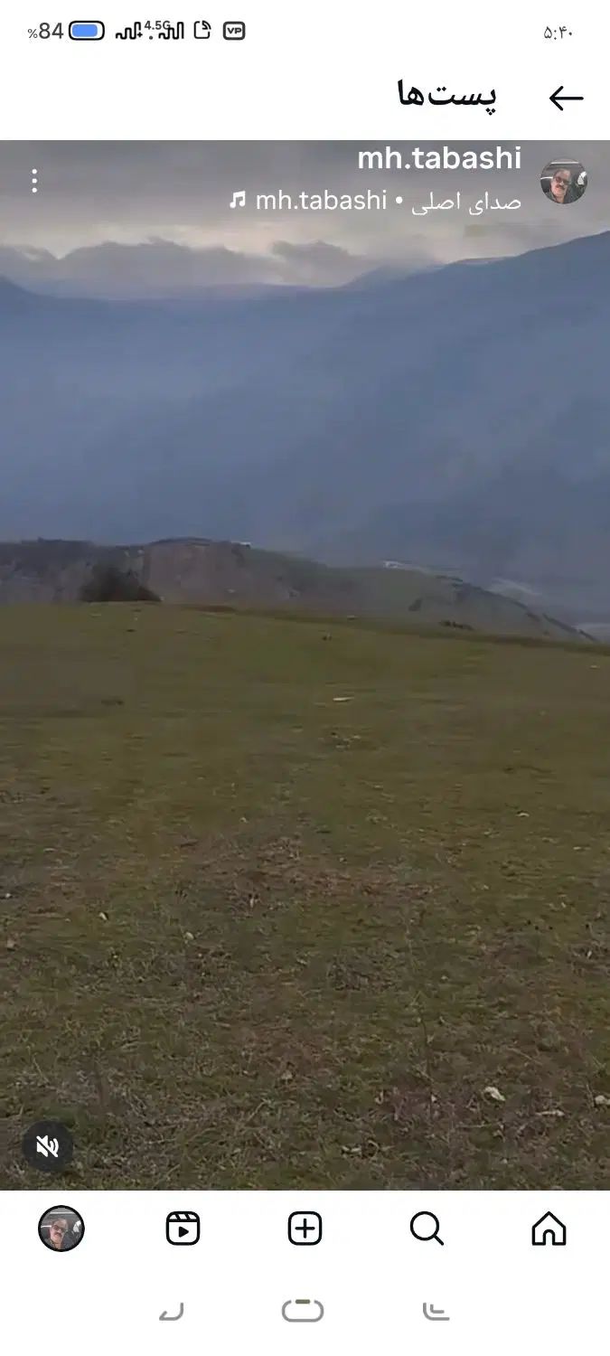 استخدام دانشجوی کشاورزی جهت کاشت درخت|استخدام صنعتی، فنی، مهندسی|کرج, باغستان|دیوار