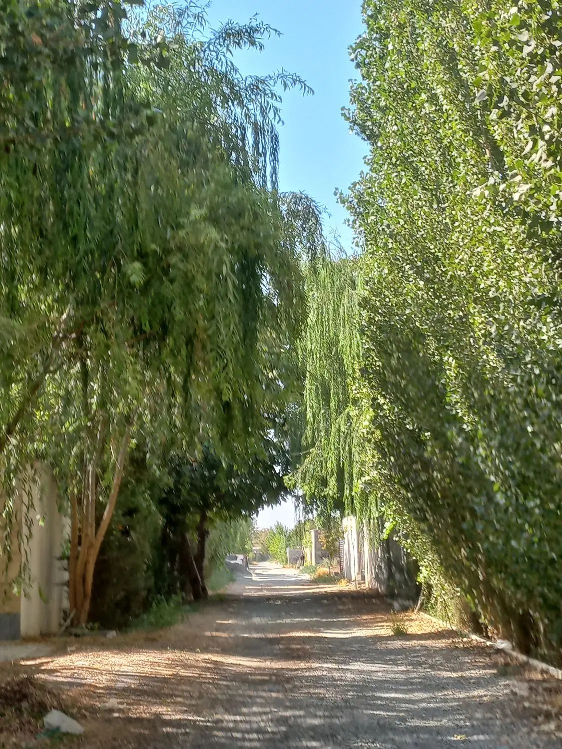 زمین  آماده ساخت ۷۰۰تهراندشت/ سهیلیه/ نمکلان|فروش زمین و ملک کلنگی|هشتگرد, تهران دشت|دیوار