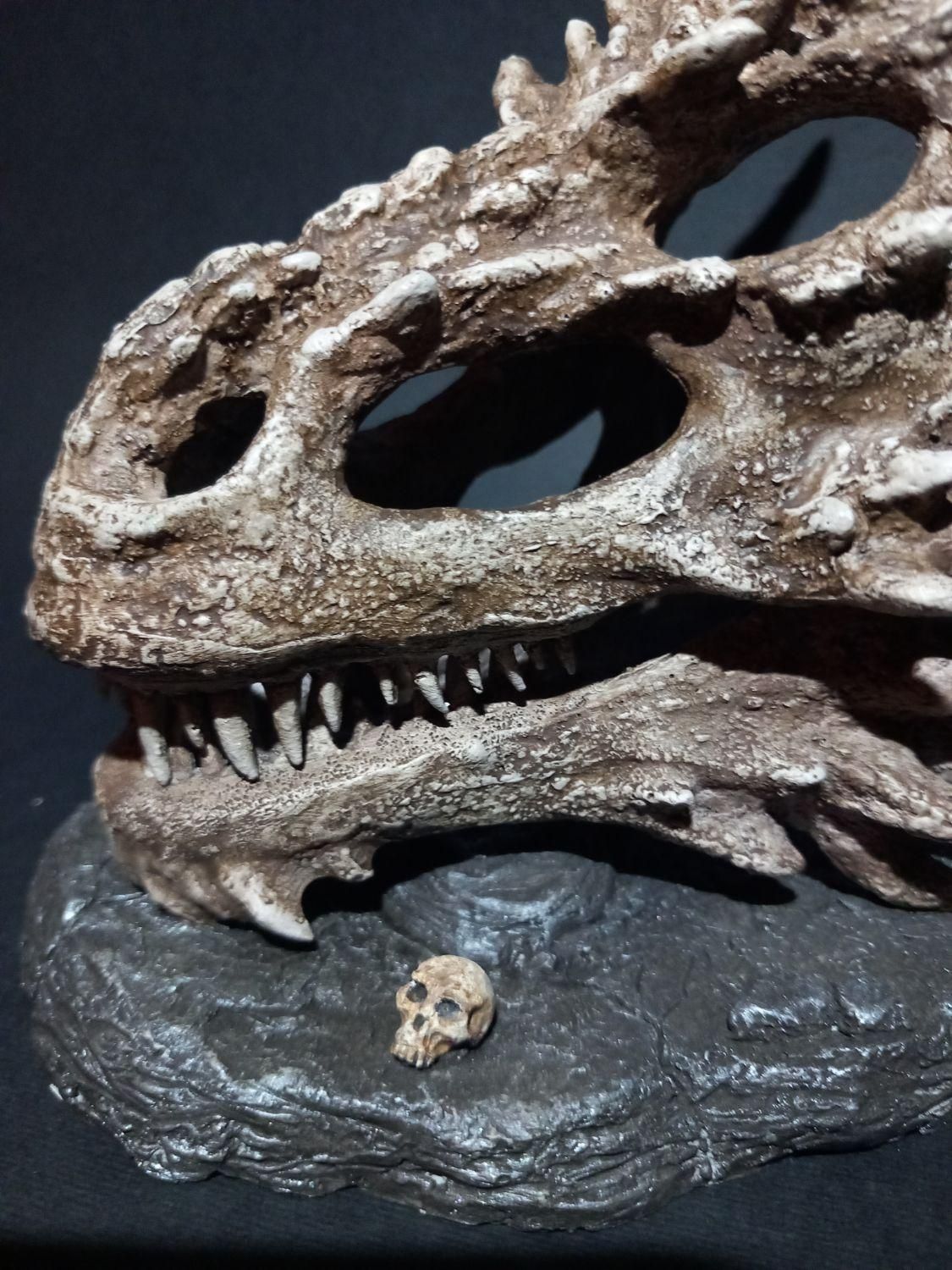 اکشن فیگور جمجمه اژدها با فک متحرک|اسباب‌‌بازی|تهران, شیخ هادی|دیوار