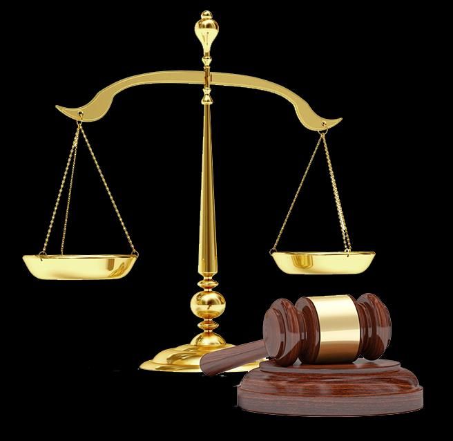 وکیل پایه یک دادگستری (خانم)|خدمات مالی، حسابداری، بیمه|ساری, |دیوار