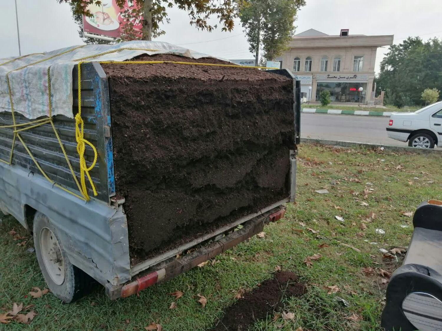 خاک برگ پوسیده|خدمات باغبانی و درختکاری|رشت, دباغیان|دیوار