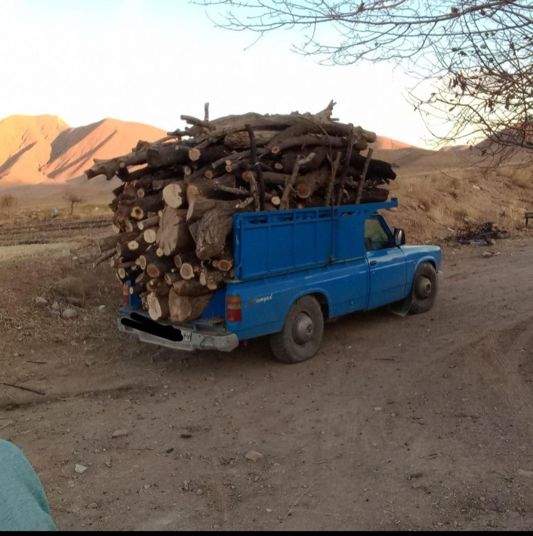 انواع و اقسام مختلف چوب|خدمات باغبانی و درختکاری|اراک, |دیوار