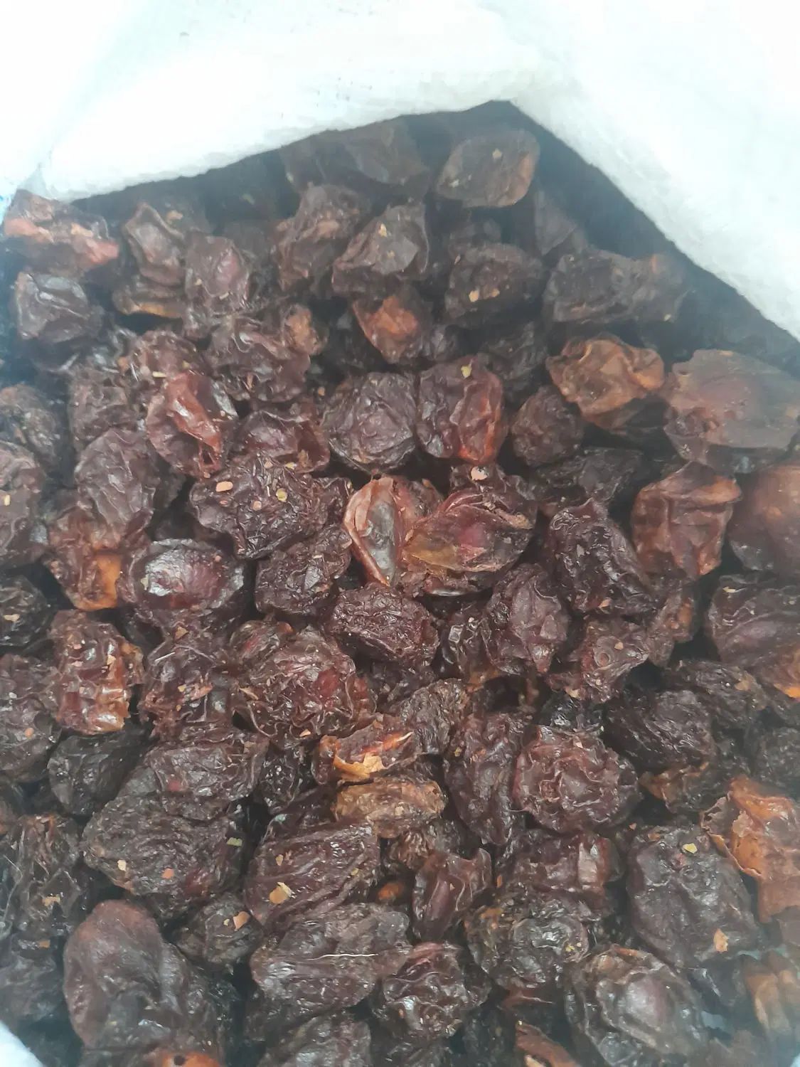 آلوچه خشک|خوردنی و آشامیدنی|تهران, عبدل‌آباد|دیوار