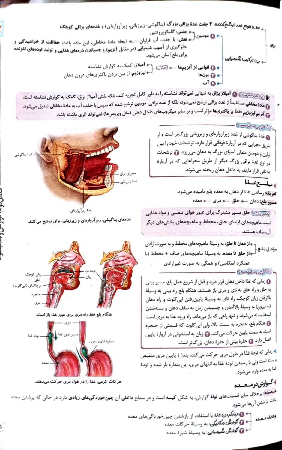 کتاب کار زیست دهم ماجرای من و درسام کتاب تست تجربی|کتاب و مجله آموزشی|ورامین, ورامین|دیوار
