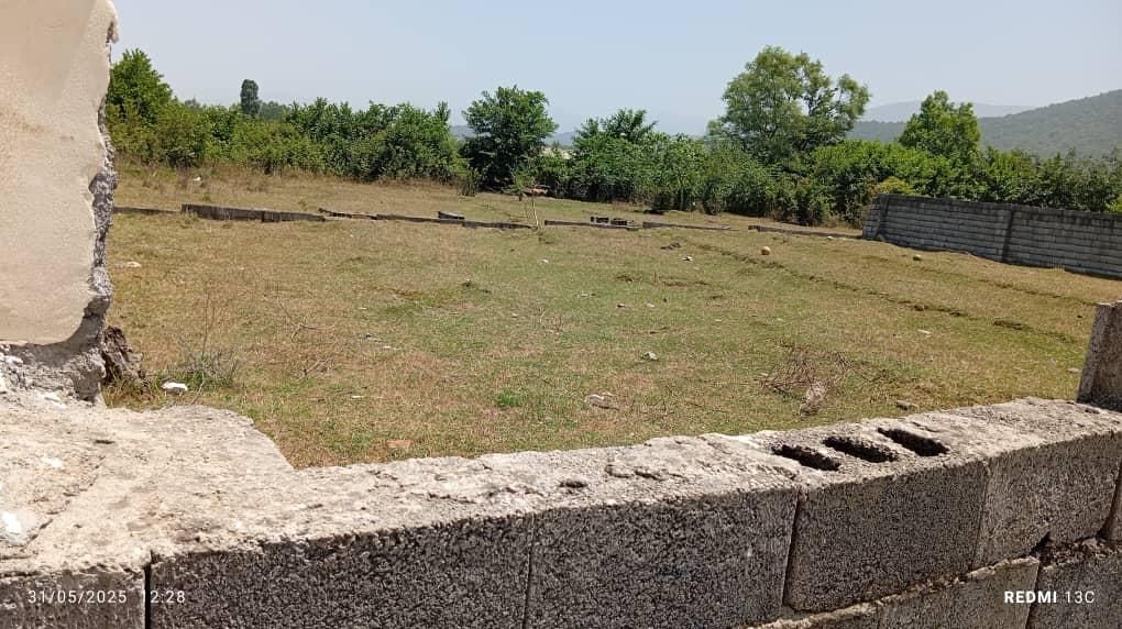 علف تراشی با قیمت مناسب|خدمات باغبانی و درختکاری|چالوس, |دیوار