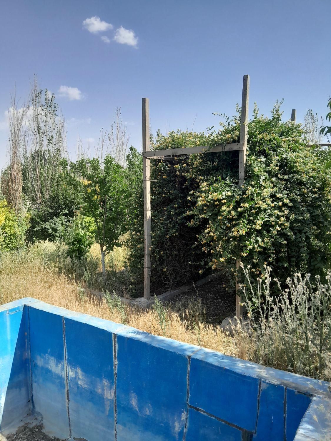 باغچه آماده درختان میوه ۷ ساله منطقه ۱۸ تهران|فروش زمین و ملک کلنگی|تهران, شهرک دریا|دیوار