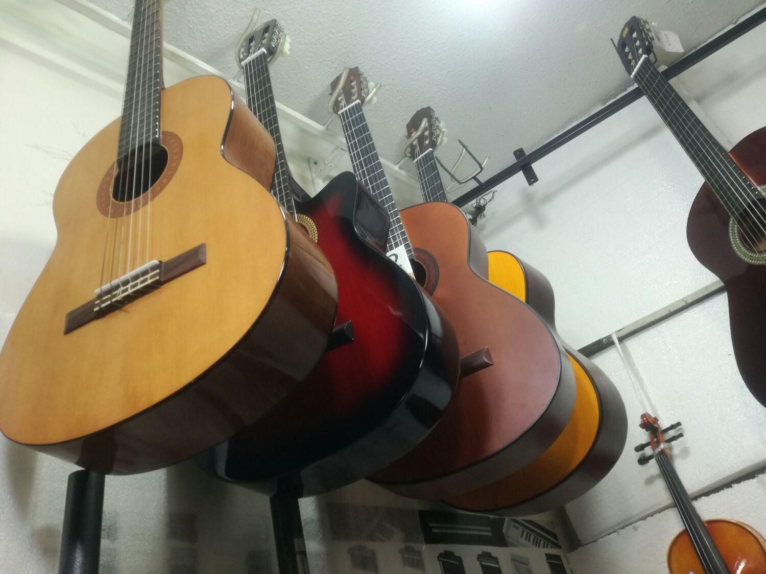 پخش  وفروشانواع گیتار ایرانی  وخارجی|گیتار، بیس، امپلیفایر|همدان, |دیوار