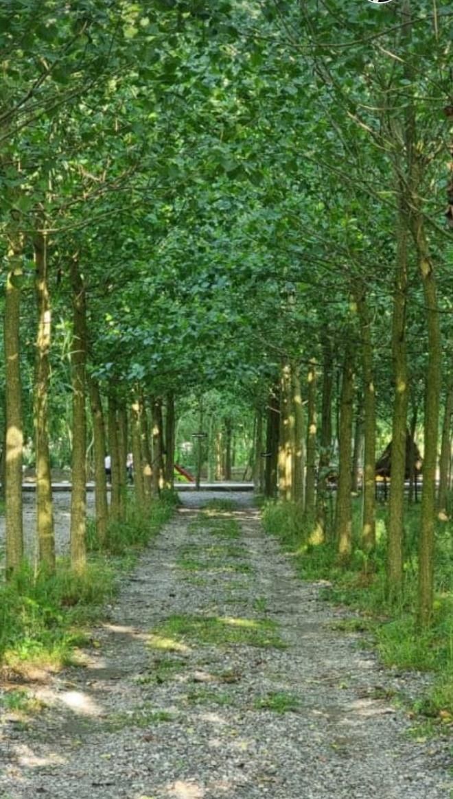 ویلا با آپشن های بی نظیر/ در مجموعه سرسبز|فروش خانه و ویلا|بافت, |دیوار