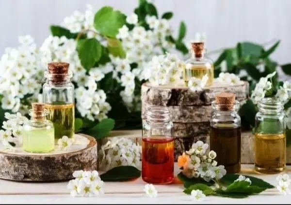 روغن ماساژ|آرایشی، بهداشتی، درمانی|تهران, مجیدیه|دیوار