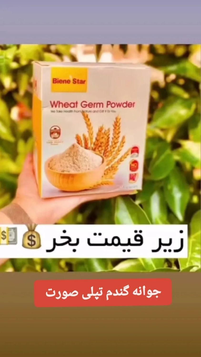 پودر جوانه گندم|خوردنی و آشامیدنی|کرج, جهان‌شهر|دیوار