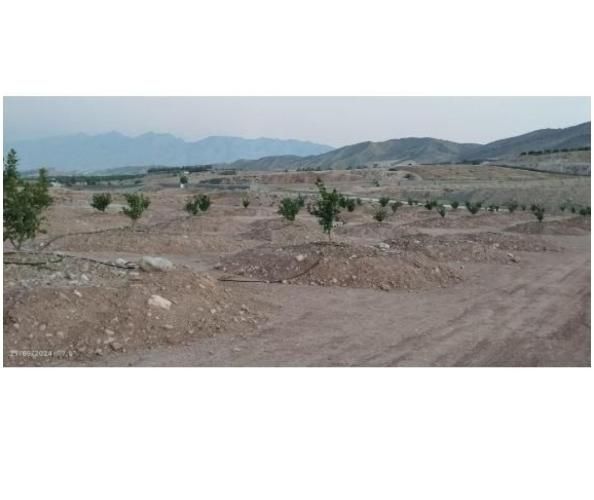 باغچه باغ مقصودآباد جهرم|فروش دفتر صنعتی، کشاورزی، تجاری|جهرم, |دیوار