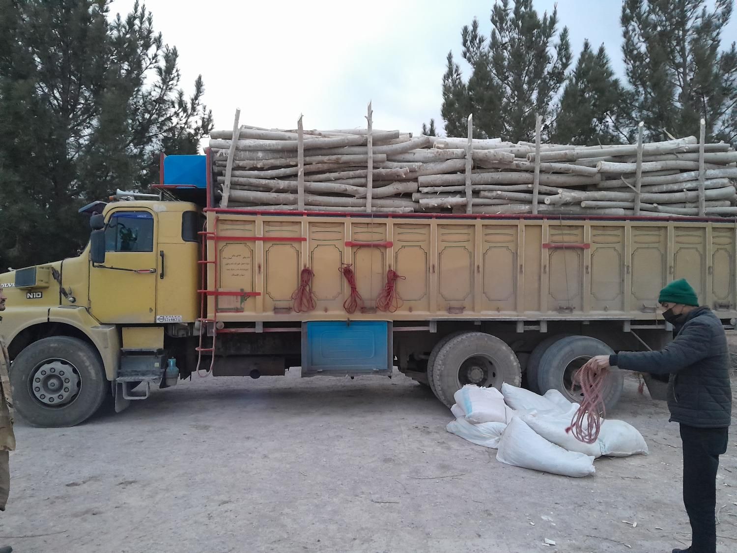 خریدار چوب شما|خدمات باغبانی و درختکاری|کرمان, |دیوار