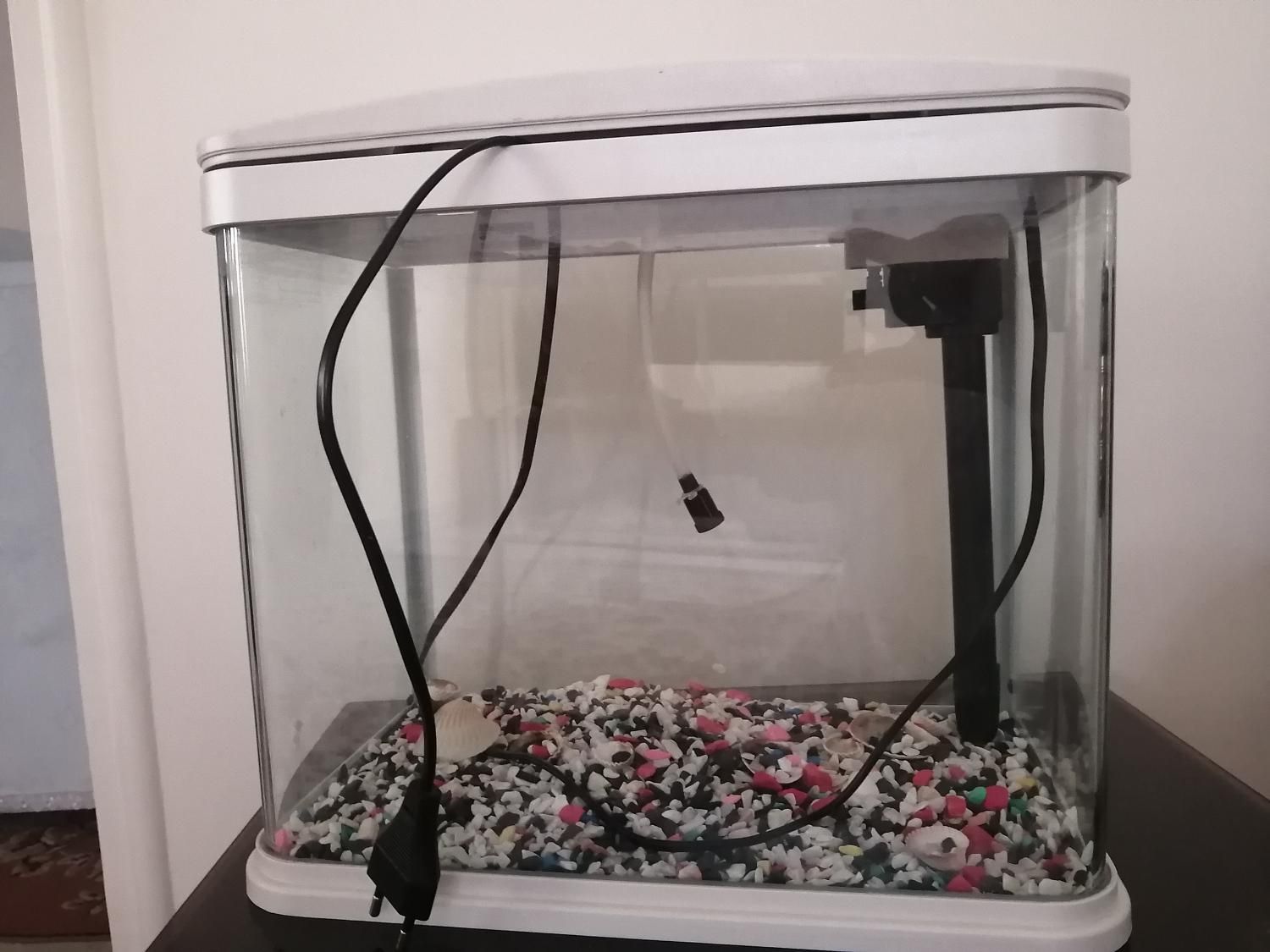 اکواریوم ma22 ماهیران|ماهی|تهران, ستارخان|دیوار