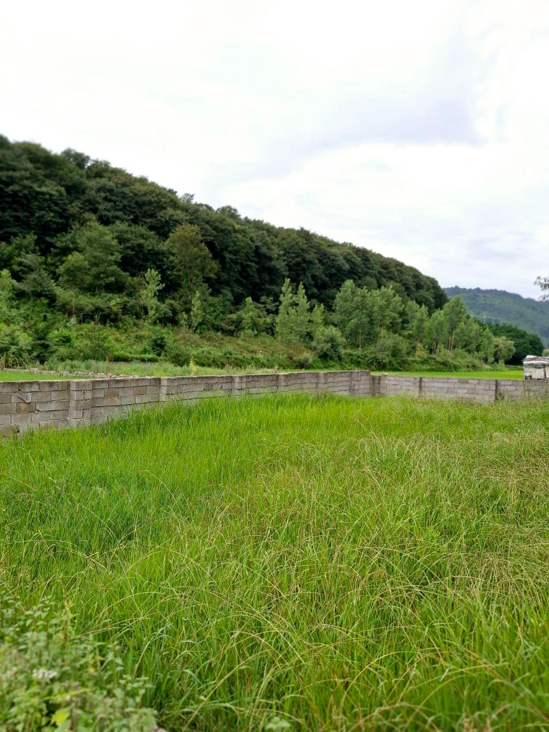 فروش یک قطعه زمین در شهر زیراب ، خیابان ۱۷ شهریور|فروش زمین و ملک کلنگی|زیرآب, |دیوار