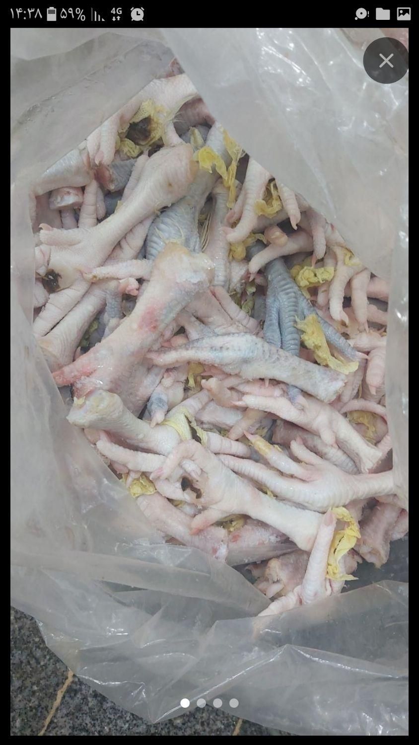 غذای حیوان،اسکلت مرغ،پا،دل،مرغ ضایعات|لوازم جانبی حیوانات|شیراز, مسلم|دیوار