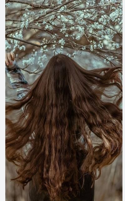 خریدار مو|آرایشی، بهداشتی، درمانی|اسلامآباد غرب, |دیوار