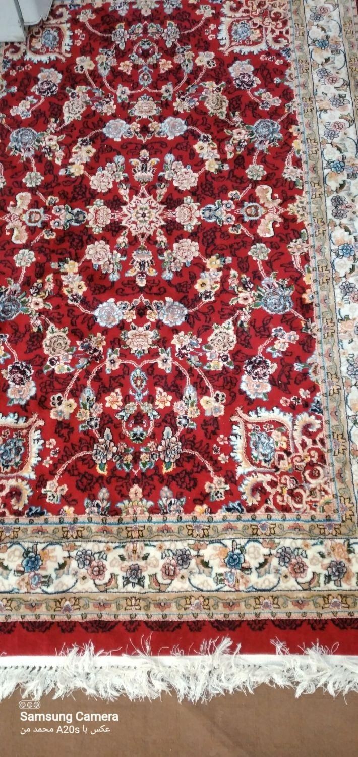 قالی نو|فرش|شیراز, تندگویان|دیوار