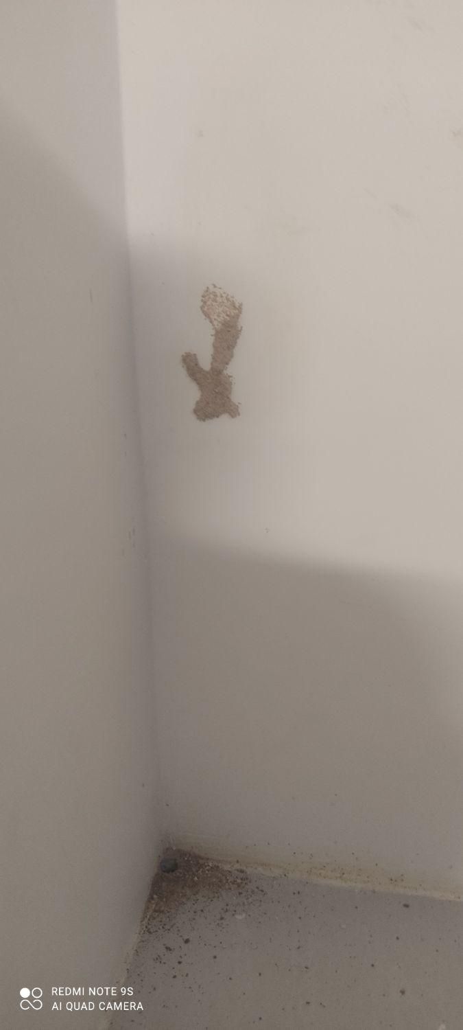 سمپاشی سوسک موریانه سم پاشی ساس با مجوز رسمی|خدمات نظافت|نجف‌آباد, منتظری شمالی|دیوار