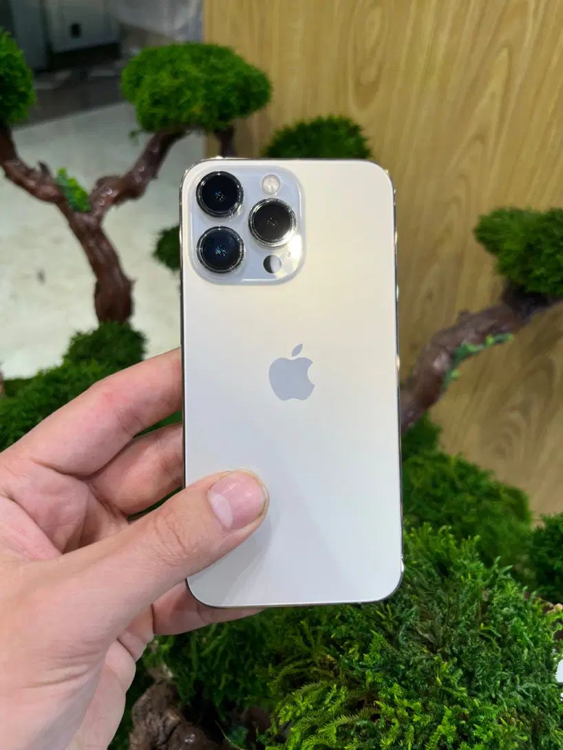 iphone 13 pro 256 آیفون ۱۳ پرو ۲۵۶ گیگ|موبایل|تهران, درختی|دیوار