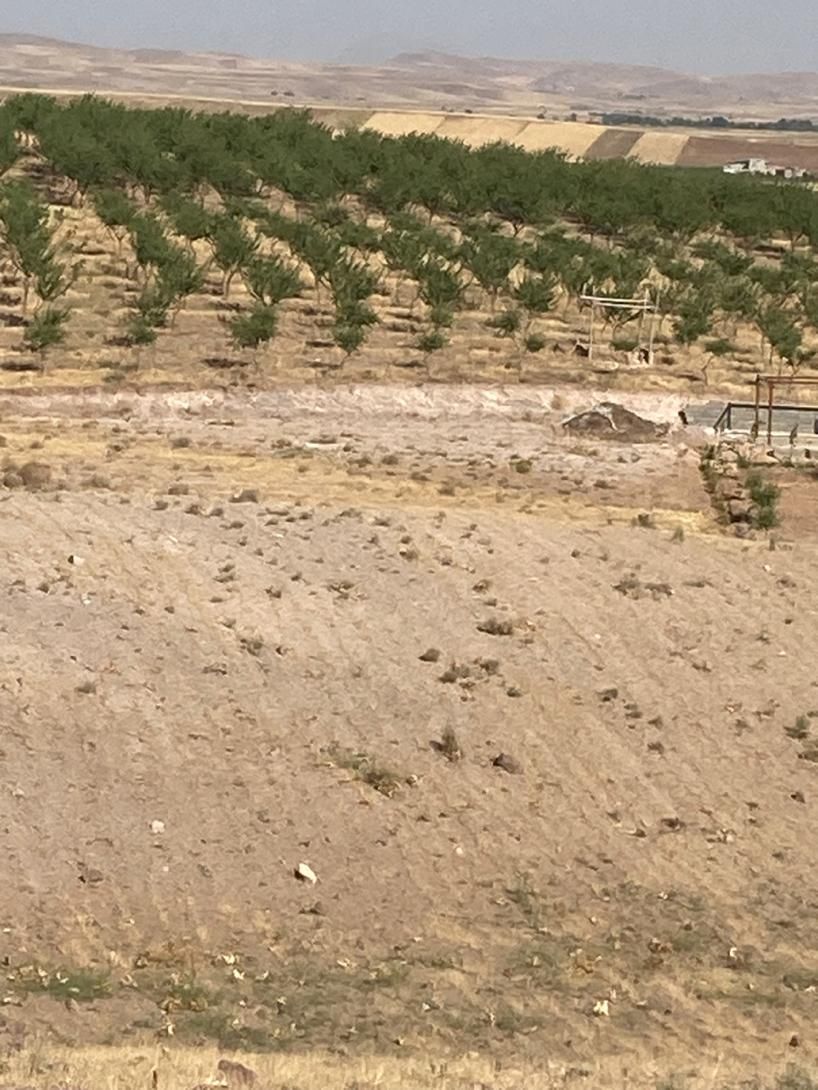 زمین ۱۰۰۰متری شهرک پاسارگاد(جاده امامزاده اباذر)|فروش زمین و ملک کلنگی|قزوین, |دیوار