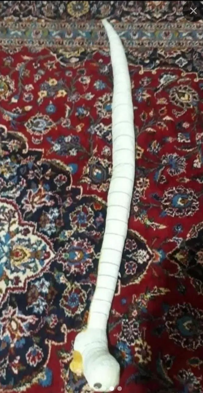 عروسک مار مخملی اصل کشور کره|اسباب‌‌بازی|تهران, جی|دیوار