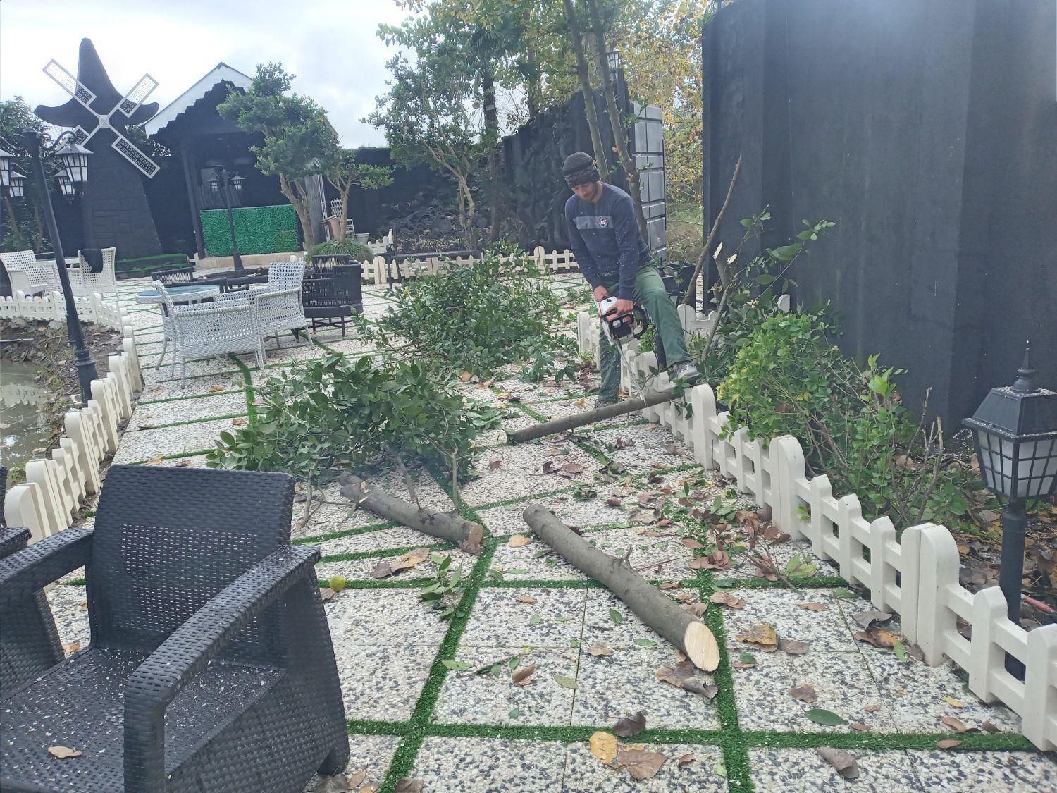 خدمات باغبانی وعلف تراشی زمین|خدمات باغبانی و درختکاری|رشت, گیل|دیوار