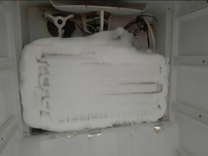 تعمیرات انواع یخچال بدون برفک نرماشیربم|خدمات پیشه و مهارت|بم, |دیوار