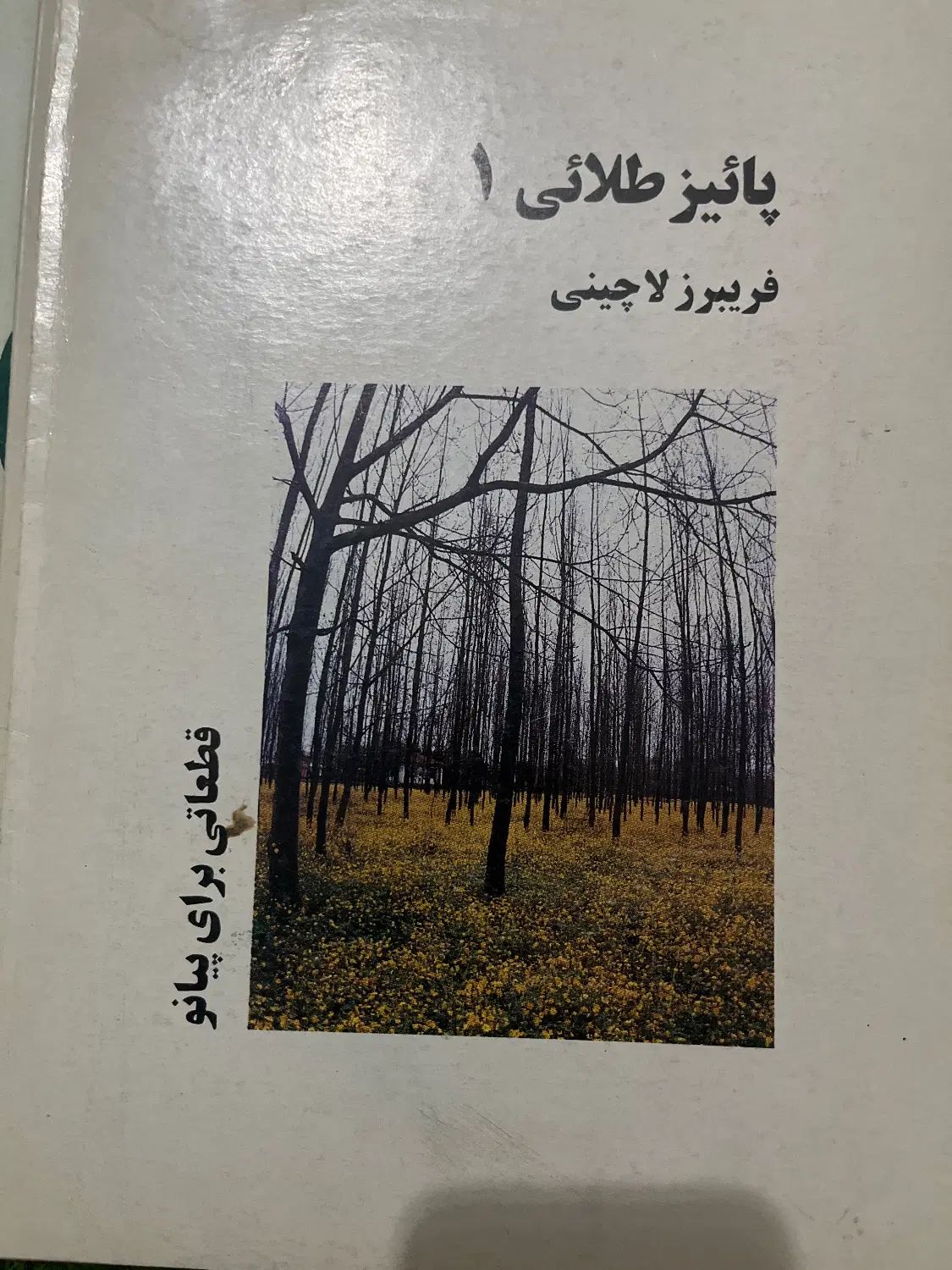 تعدادی کتاب کمیاب آموزش موسیقی قیمت توافقی|کتاب و مجله آموزشی|کرج, کوی کارمندان جنوبی|دیوار