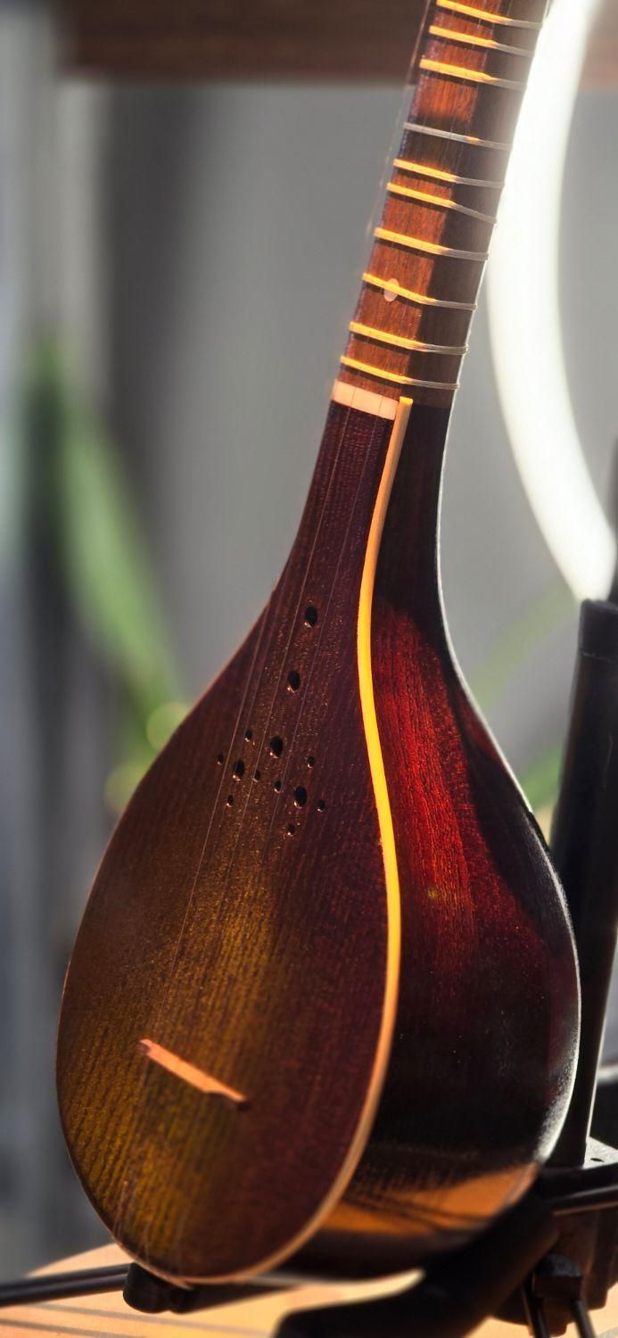 سه تار کنسرتی مهر تک نواز درجه یک|سازهای سنتی|پردیس, فاز ۲|دیوار