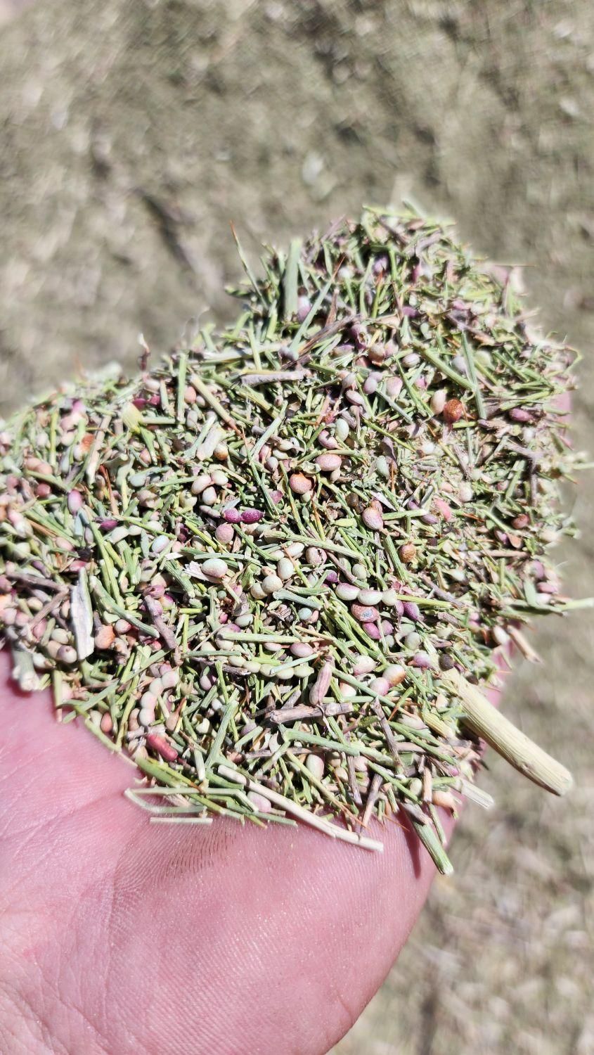 کاه خار داری|لوازم جانبی حیوانات|نیشابور, شهرک بسیج|دیوار